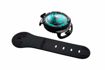 Orbiloc Dog Dual Veiligheidslichtje LED Turquoise bandje