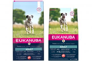 Eukanuba Adult Large Salmon & Barley is droge hondenvoeding voor alle volwassen rassen. Eukanuba droogvoer in brokvorm is rijk aan zalm en gerst en daarnaast perfect voor volwassen honden van grote rassen.
