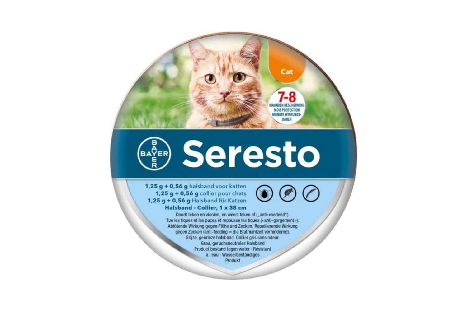 Ophef Mijnwerker schors Bayer Seresto Vlooien- en Tekenband kat online kopen? → Dierencompleet.nl