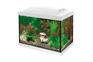 De Superfish Aqua 20 Goldfish Kit Aquarium is een starterkit met energiezuinige LED-verlichting. Ook heeft het aquarium een binnenfilter en handige accessoires om de aquariumhobby te starten. Het aquariumdeksel heeft een klepje om het voeren van de vissen gemakkelijk te maken. Het heldere witte licht is perfect voor plantengroei.