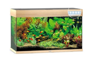 De Juwel Rio 125 LED aquarium - Licht eiken is het kleinste aquarium in de Rio-lijn. Met zijn compacte afmetingen van 81 x 36 cm en het klassieke, rechthoekige design past de Rio 125 zich zonder problemen aan elke woonstijl aan.