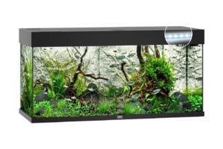 Het Juwel Rio 180 LED aquarium - Zwart combineert de onvergankelijke rechthoekige vorm met de modernste apparatuur. Met zijn compacte afmetingen van 101 x 41 cm en het klassieke, rechthoekige design past de Rio 180 zich zonder problemen aan elke woonstijl aan.