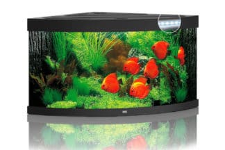 Het Juwel Trigon 350 LED aquarium - Zwart schittert in elke hoek met zijn unieke diepte van 87 cm en zijn gebogen voorruit en wordt optimaal verlicht door LED verlichting.