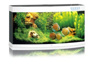 Het Juwel Vision 260 LED aquarium - Wit vormt met zijn gebogen voorruit een expressie van elegantie en plaatst het levende beeld van een aquarium mooi in de schijnwerpers. Met een breedte van 121 cm biedt de Vision 260 veel ruimte voor creativiteit.