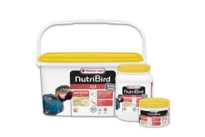 NutriBird A19 is een volledig vogelvoer voor de handopfok van ara's, edelpapegaaien, kraagpapegaaien, grijze roodstaarten en andere babyvogels met hoge energiebehoefte.