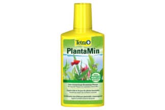 Tetra Plantamin is een ijzerrijke meststof voor prachtige planten. Essentiële voedingsstoffen zoals ijzer, kalium en mangaan bevorderen een gezonde en prachtige plantengroei. Dankzij de langwerkende formule zijn de voedingsstoffen Plantamin gedurende vier weken beschikbaar voor de planten.