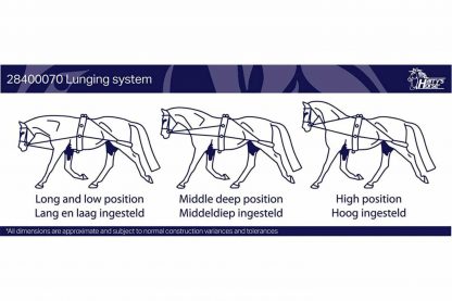 De longeerhulpteugel is een revolutionair trainingsmiddel voor paarden. Het zorgt ervoor dat de rug sterkt, wanneer de bovenlijn van het paard recht is en dringt het paard voorzichtig aan om correct te lopen.