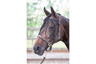 Deze Harry's Horse Vliegenfrontriem beschermt de ogen van het paard tegen vliegen. De riem is makkelijk te bevestigen door middel van klittenband aan een halster of hoofdstel.