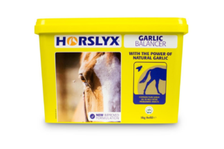 Horslyx Garlic Balancer. Met de kracht van natuurlijke knoflook. Bevat pure knoflookolie. Dit helpt tegen hinderlijke insecten. Horslyx is een aanvulling op het voer voor alle paarden, pony’s en ezels.