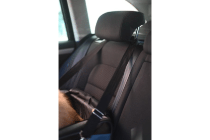 De Kerbl automand Vacation is een vervoersmand voor je hond of kat in de auto. Daarnaast kan de mand ook gebruikt worden als transporttas door de verstelbare schouder- en draagriem. Dankzij de opening aan de zijkant kan je hond er bovendien gemakkelijk in en uitstappen. 