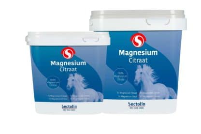 Sectolin Equivital Magnesium