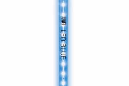 De Juwel aquariumlamp LED Blue is een hoog presterende LED-buis met actinisch blauw licht voor de MultiLux LED inzetlamp. De energiezuinige LED Blue lamp is speciaal ontwikkeld voor de simulatie van de lichtcondities op een koraalrif op ca. 6 meter diepte.