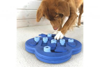 De Nina Ottosson Dog Hide 'n Slide hondenpuzzel biedt mentale uitdaging voor honden. Het zelf oplossen van puzzels geeft een hond meer zelfvertrouwen. Samen met jouw hond denkspelletjes doen ondersteunt de band, waardoor deze nog sterker wordt.