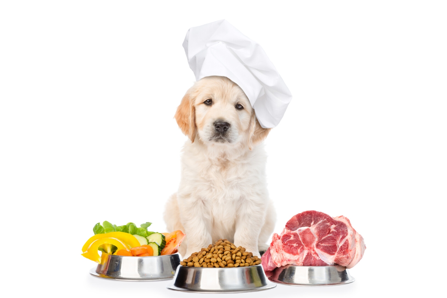 Bevat de hondenbrok van jouw hond gezonde kruiden? Waarschijnlijk niet, maar er zijn redenen genoeg om een hondenbrok uit te zoeken die wél kruiden bevat. Er zijn een aantal merken die bekend staan om het gebruik van kruiden, denk hierbij aan de hondenvoeding van VITALstyle of NUVO Super Premium. De kruiden zijn hier toegevoegd om de spijsvertering te ondersteunen en de afvoer van afvalstoffen te bespoedigen. Zo dragen de kruiden bij aan een gezond lichaam dat in balans is.
