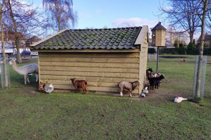 Maatwerk veestal kinderboerderij model, voorzien van schuin dak