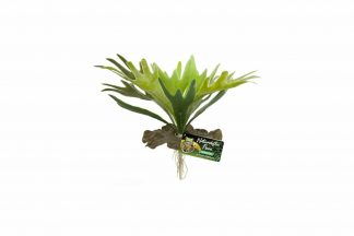 De ZooMed Staghorn Fern is een plantje gemaakt van kunststof waarmee u een ware jungle kunt creëren voor uw reptiel. Door middel van de kunstplanten van ZooMed kunt u een zo natuurlijk mogelijke leefomgeving realiseren.