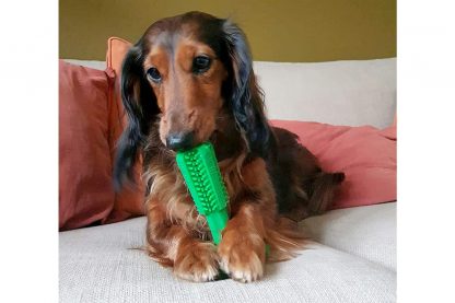 De Duvo+ Chew'n Play Hondenbrush is een makkelijke en vooral leuke manier voor uw hond zijn tanden te onderhouden. De ribbels verwijderen tandsteen en tandplak, waardoor uw een gezond gebit behoudt.