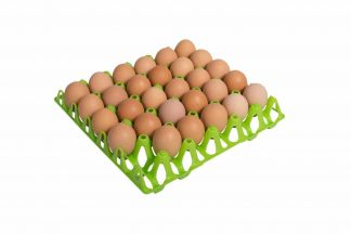 Het Ei-tray kippeneieren is ideaal om te gebruiken in bijvoorbeeld de R-Com 380. Geschikt voor 30 eieren van maat 49 mm. Makkelijk en veilig uw eieren beheren.