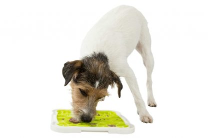 De Trixie Lick 'n Snack likplaat is een leuke afleiding voor uw huisdier. Het likken van de plaat werkt kalmerend en zorgt voor rust. U kunt bijvoorbeeld paté, natvoer of zuivel op de likplaat gesmeerd worden.