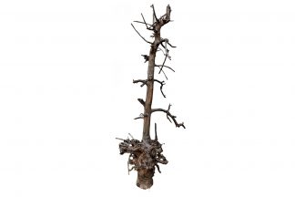 De Klimboom 001 is een gemaakt van gestraald fruitboom hout. Papegaaien en andere kromsnavels zijn gek op klimbomen, omdat ze kunnen klimmen en klauteren.