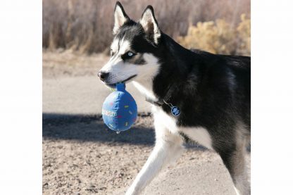 Verwen jouw hond met een leuk verjaardagscadeau! Het Kong Birthday Balloon hondenspeeltje is voorzien van een lang touw, piep geluidjes en een zachte ''ballon''. Zeer geschikt om te gebruiken tijdens apporteerspelletjes, zodat jouw hond gezond en fit blijft.