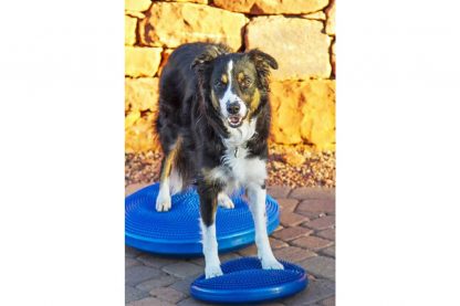 De FitPAWS Balance Disk is speciaal ontwikkeld voor oefeningen met honden, waardoor je op een leuke manier balans, flexibiliteit en kracht kan trainen. Bepaal zelf hoe uitdagend je het maakt de hoeveelheid lucht in het kussen aan te passen, zodat deze harder of zachter is. Daarnaast worden balanskussen ook veel gebruikt bij revaliderende honden of als aanvulling in de sport.
