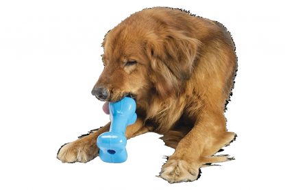 Het Planet Dog Orbee Bone is speciaal ontwikkeld voor het plezier van honden. Het bot is gemaakt van flexibel materiaal, waardoor het zacht is voor de tanden. Daarnaast kun je in de opening een heerlijke kauwstaaf doen, zodat jouw hond lekker kan snacken! 
