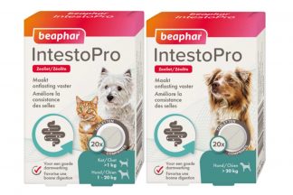 Beaphar IntestoPro kauwtabletten bieden verlichting bij honden en katten met darmproblemen vanaf 8 weken oud. Het natuurlijke ingrediënt zeoliet helpt onder andere om de ontlasting vaster te maken door het overtollige vocht op te nemen.