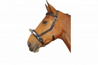 De Harry’s Horse Kaptoom zwart is verstelbaar bij kopstuk, neusriem en de keel. Wordt ook wel longeerhalster genoemd. De front- en neusriem zijn tevens gevoerd.