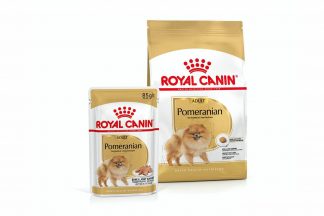 De Royal Canin Pomeranian Adult hondenbrok is speciaal afgestemd op een goede ontwikkeling en ondersteuning van het ras.