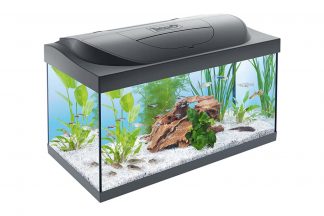 Het Tetra Starter Line LED aquarium is zeer geschikt voor iedereen die wil beginnen met deze fantastische hobby! De set bevat namelijk alles wat je nodig hebt om een goede start te maken met jouw nieuwe aquarium. Daarnaast zorgt de LED verlichting ervoor dat het aquarium mooi helder is. 