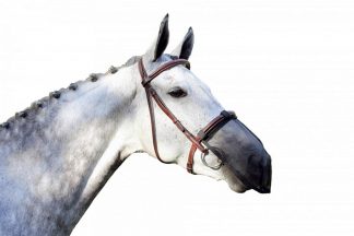 Het QHP neusnetje is zeer geschikt voor paarden met een pollenallergie of gevoelig zijn voor vliegen. Je kan het netje eenvoudig door middel van klittenband vastmaken aan de neusriem, waardoor het op elk hoofdstel of halster past. 