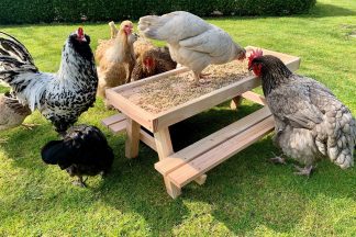 Deze Chicknic-tafel is een unieke picknick tafel speciaal gemaakt voor kippen. Voer je kippen hun favoriete traktaties op deze stevige mini picknicktafel. Het blad is afgewerkt met een randje zodat voer, zaadjes en groenten er niet afvallen.
