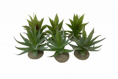 De Terra Della decoratieve terrariumplanten zijn gemaakt van hoogwaardig kunststof en polyesterhars, waardoor ze zeer degelijk zijn. Daarnaast zorgt de stevige voet ervoor dat ze stabiel staan in het terrarium.