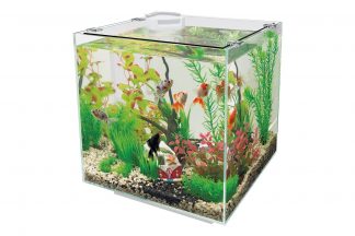 Het Superfish QubiQ 30 Aquarium is hèt alternatief voor een goudviskom. In een goudviskom ontbreekt een filter en watercirculatie waardoor de vissen in een vervuild en ongezond milieu leven. De QubiQ heeft een geïntegreerde filter wat zorgt voor helder en gezond water.