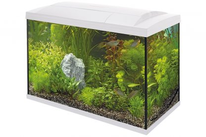 Het Superfish Start 150 Tropical Kit aquarium is een voordelige complete starterkit met energiezuinige LED-verlichting, binnenfilter en handige accessoires om de aquariumhobby te starten. Het Tropisch aquarium is inclusief aquariumverwarmer.