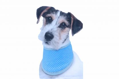 De Kowloon Cool Bandana zorgt voor fijne verkoeling op warme dagen bij jouw hond. Dompel de bandana in het water, wring het uit en plaats hem om de hals van de hond. Zorg ervoor dat je de de bandana altijd terugplaatst in het bijgeleverde hoesje, zodat je voorkomt dat hij uitdroogt.