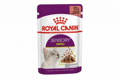 Wist je dat katten hun voeding met behulp van zintuigen selecteren? En dat dat het stimuleren daarvan bijdraagt aan hun welzijn? Royal Canin Sensory Smell helpt de zintuigen van jouw kat te stimuleren en de voedingservaring te verbeteren.