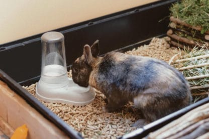 Ferplast Azimut voer- en drinksilo 600 voor konijnen