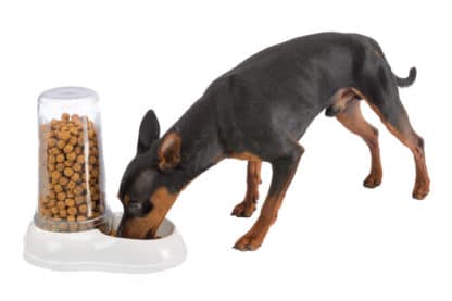 Ferplast Azimut voer- en drinksilo voor honden