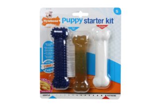 Nylabone Puppy starter kit