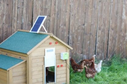 Kerbl zonnepaneel set voor automatische kippendeur kippenren