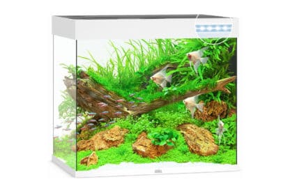 Het Juwel Lido 200 LED aquarium - Wit is een strak aquarium met stijlvolle accenten. Met een breedte van 71 cm en een hoogte van 65 cm biedt het Lido 200-aquarium verrassend veel ruimte om je onderwaterwereld aan te passen.