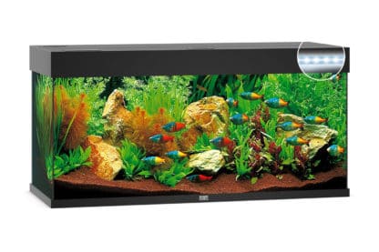 Het Juwel Rio 240 LED aquarium - Zwart is een elegant tijdloos design, perfect vakmanschap en innovatieve technologie. Verder kan je met de 120 cm breedte genieten van prachtige zichten. Met een oppervlakte van 121 x 41 cm en het klassieke, rechthoekige design past het Rio 240-aquarium zich compromisloos aan elke woonomgeving aan.