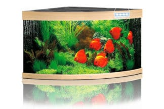 Het Juwel Trigon 350 LED aquarium - Licht eiken schittert in elke hoek met zijn unieke diepte van 87 cm en zijn gebogen voorruit en wordt optimaal verlicht door LED verlichting.