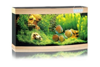 Het Juwel Vision 260 LED aquarium - Licht eiken vormt met zijn gebogen voorruit een expressie van elegantie en plaatst het levende beeld van een aquarium mooi in de schijnwerpers. Met een breedte van 121 cm biedt de Vision 260 veel ruimte voor creativiteit.