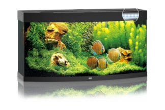 Het Juwel Vision 260 LED aquarium - Zwart vormt met zijn gebogen voorruit een expressie van elegantie en plaatst het levende beeld van een aquarium mooi in de schijnwerpers. Met een breedte van 121 cm biedt de Vision 260 veel ruimte voor creativiteit.
