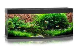 Geen enkel ander aquarium omarmt deze eigenschap zo overtuigend als het Juwel Vision 450 LED aquarium - Zwart. Met zijn gebogen voorruit, zijn speciale diepte en zijn LED verlichting biedt dit aquarium een uitzonderlijk ruimtelijk gevoel.