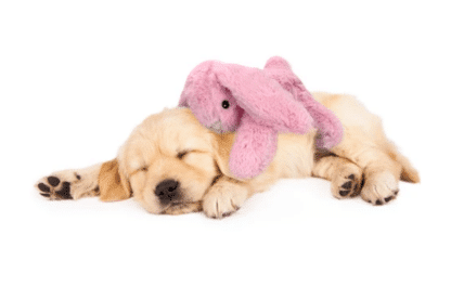 Cozy Dog konijn roze