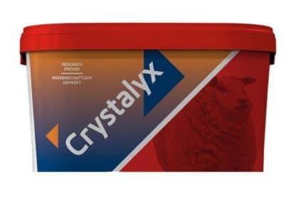 Crystalyx Schapen Liksteen Extra High Energy